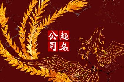 高端有格調(diào)的攝影公司名字合集