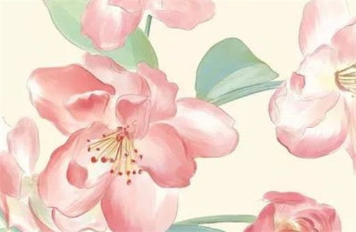 男命日柱帶紅鸞對運勢有什么影響嗎