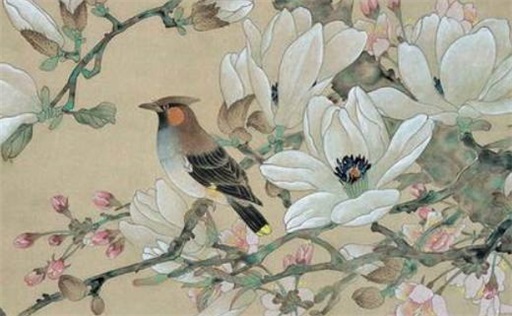 戊辰年出生的人一生運程命運詳解