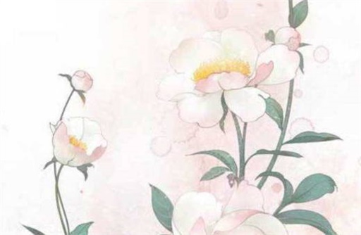 日坐七殺女命姻緣情況怎么樣