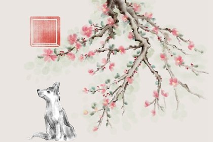 月柱天羅地網(wǎng)女命八字命格精批