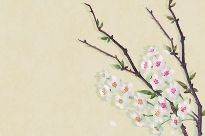 月柱太極貴人華蓋事業(yè)運好不好