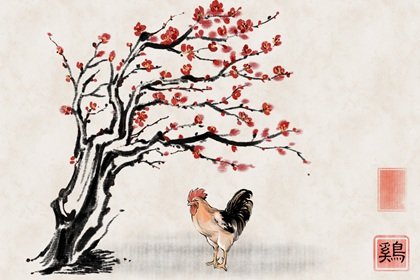 庚子年出生女命運(yùn)程好不好