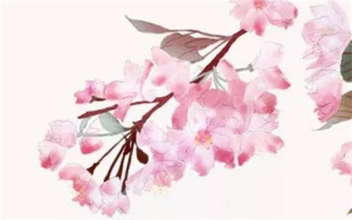 癸亥年出生孩子命運(yùn)走勢(shì)怎么樣
