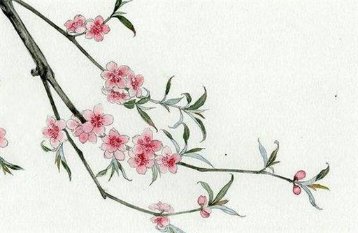 戊子日幾點最出生最不好 戊子年出生月份看富貴