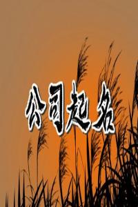 醫(yī)藥公司名字高端大氣 吉祥好聽(tīng)的醫(yī)藥公司名字