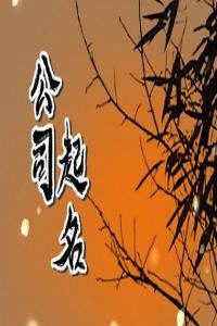 2024龍年高大上的企業(yè)名字大全