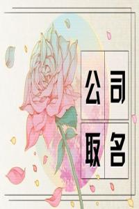 獨(dú)特的計(jì)算機(jī)企業(yè)名字合集