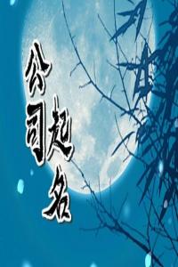 2024龍年有涵養(yǎng)的公司名字