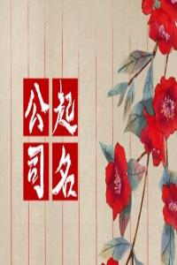 比較大氣接地裝修公司名字