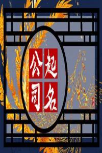 甲辰年獨(dú)一無(wú)二的投資公司名字