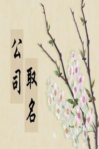 2024龍年建材公司如何取名有牌面
