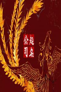 高端有格調(diào)的攝影公司名字合集