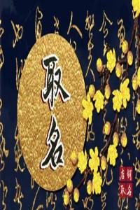 龍年別致獨特的飾品店鋪名字
