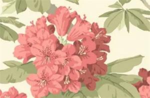 稱骨算命為什么不準(zhǔn) 幾兩男命命運(yùn)好