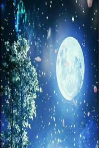 流年神煞天醫(yī)是什么意思