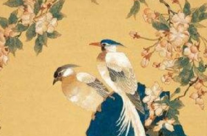 貪狼星入命宮代表什么
