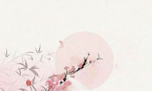 左輔星入奴仆宮好不好