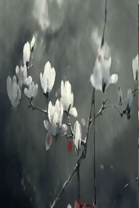男孩腳踏七星是什么命