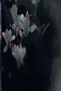 腳踏七星是什么神仙轉(zhuǎn)世