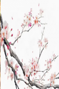 辰時出生的小孩有什么說法 辰時出生是什么命格