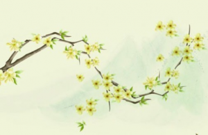 辰時(shí)出生的男孩適合做什么職業(yè)