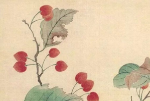 2024年松柏木命財運好嗎 松柏木命干什么生意發(fā)財