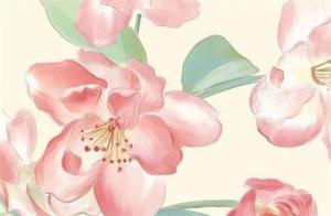 男命日柱帶紅鸞對運勢有什么影響嗎