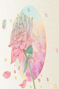 戊寅年出生人八字命格精批