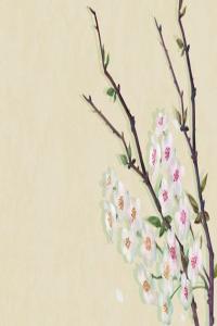 月柱太極貴人華蓋事業(yè)運好不好