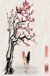 庚子年出生女命運程好不好