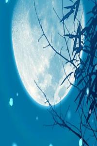 己卯日柱男命財(cái)運(yùn)婚姻狀況分析