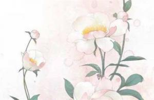 女命走偏財(cái)大運(yùn)感情運(yùn)程走勢(shì)如何