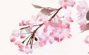 癸亥年出生孩子命運(yùn)走勢怎么樣