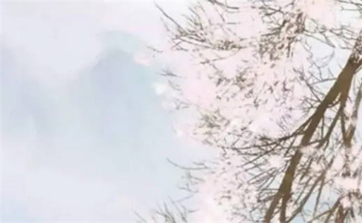 女命什么流年必結(jié)婚 女命流年印到必結(jié)婚