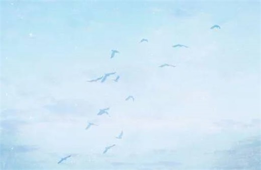 女命七殺流年能戀愛(ài)嗎 女命只有七殺誰(shuí)是正緣