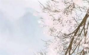 女命什么流年必結(jié)婚 女命流年印到必結(jié)婚