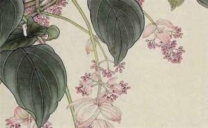 墻外桃花和墻內(nèi)桃花是什么意思  墻外桃花一定會(huì)出軌嗎