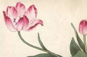 八字哪個桃花最漂亮 什么八字桃花最旺盛