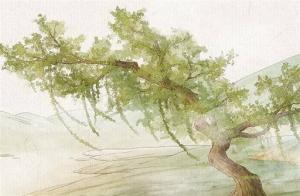 流年桃花是什么意思 桃花流年會(huì)發(fā)生什么