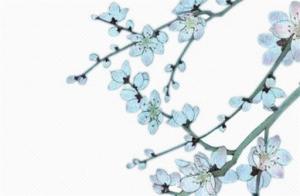 劫財(cái)格男命的最佳配偶長相 劫財(cái)格男命對(duì)老婆不好嗎