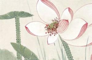 癸卯流年遇桃花好嗎  丁火遇癸卯七殺會怎樣