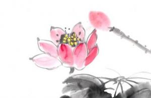 流年桃花都是短暫嗎 流年桃花會長久嗎