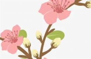女命流年財(cái)官會結(jié)婚嗎 流年財(cái)生官女命姻緣