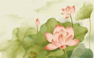 女命身強(qiáng)比劫旺貌美 比劫旺的女人太太命