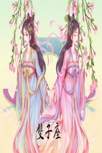 雙子座2024年運勢詳解完整版