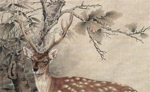 79年屬羊手機(jī)吉祥號(hào)是什么 79屬羊手機(jī)尾號(hào)后四位吉利