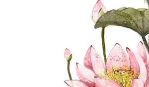 卜算子算命網