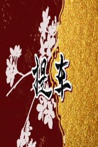 卜算子算命網