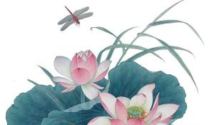 卜算子算命網(wǎng)